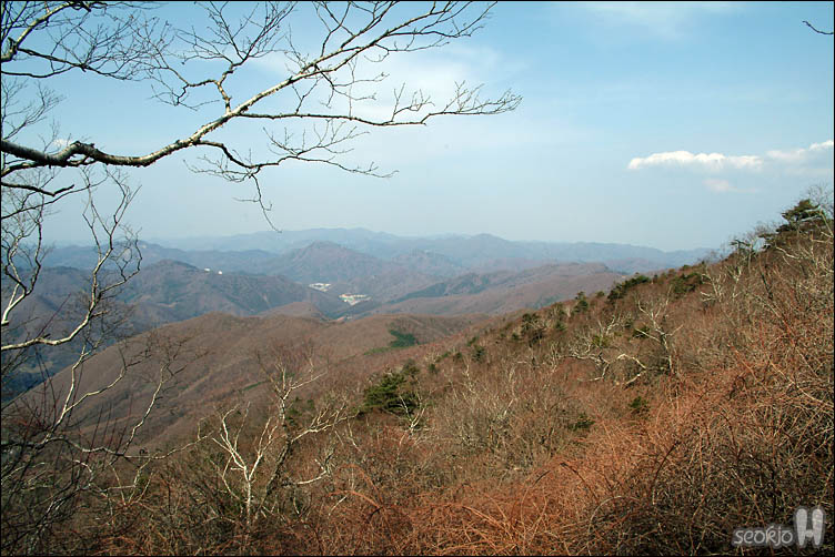 DSCF7780.jpg