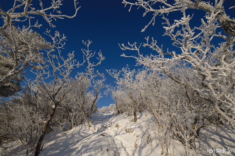 DSC_4726.jpg