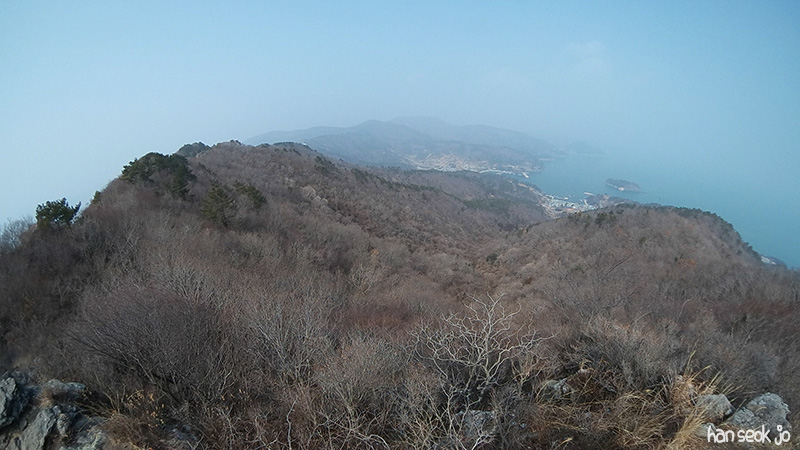 SAM_0347.jpg