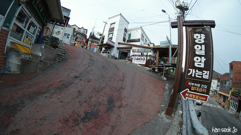 SAM_0308.jpg