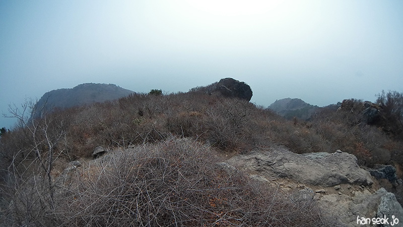 SAM_0348.jpg