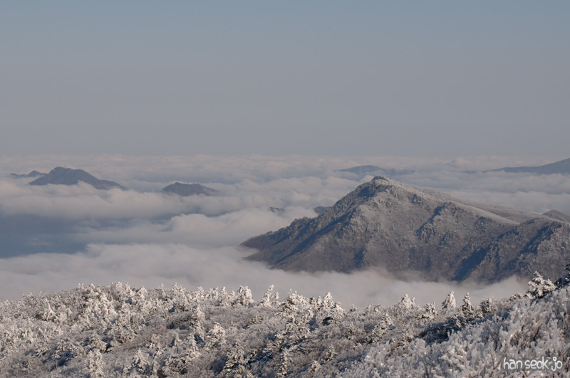DSC_5596.jpg
