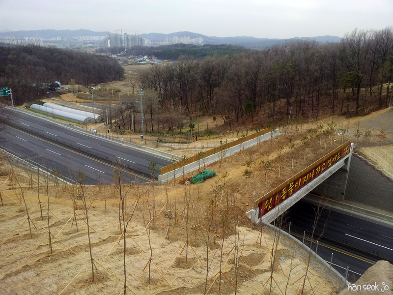 20130415_151532.jpg