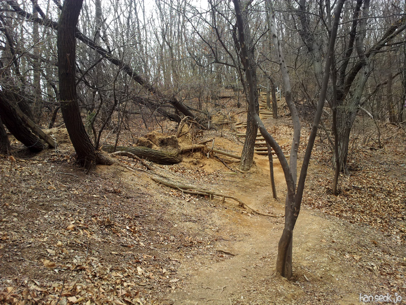 20130415_125558.jpg