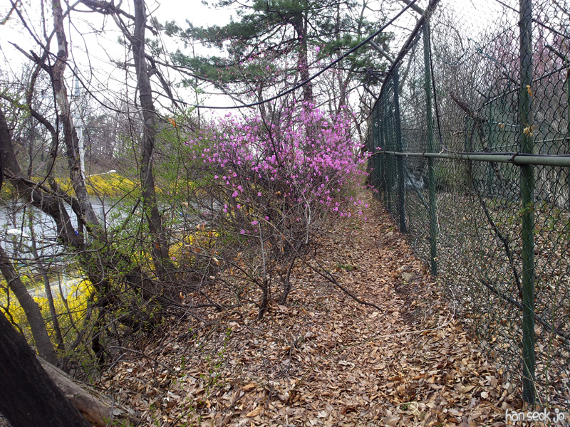20130415_134552.jpg