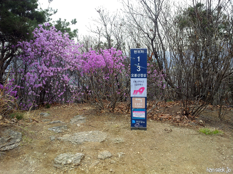 20130415_132303.jpg