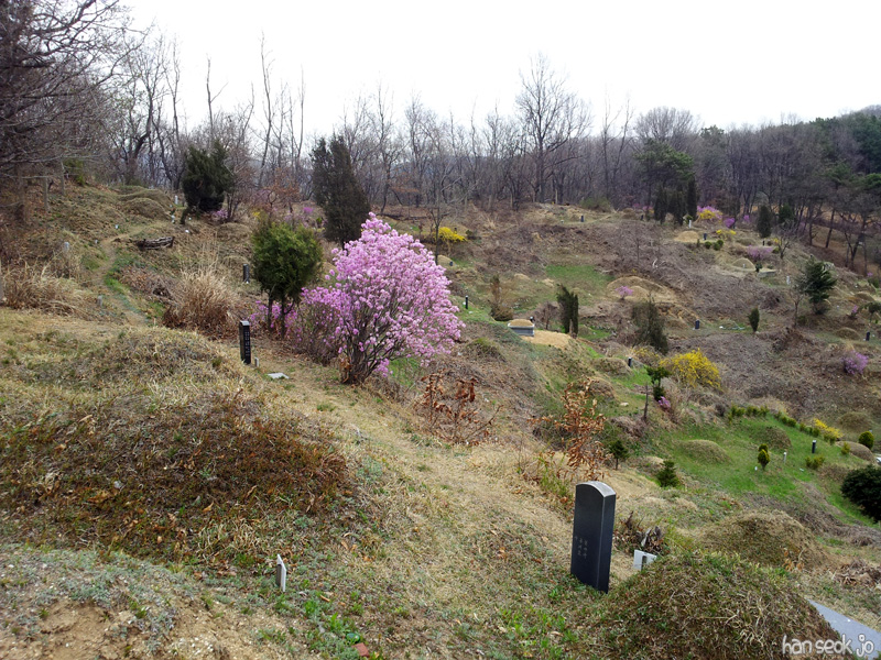 20130415_134848.jpg