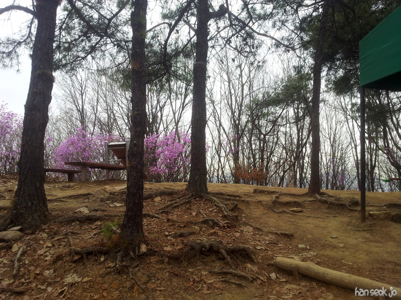 20130415_151100.jpg