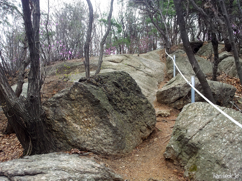 20130415_130553.jpg