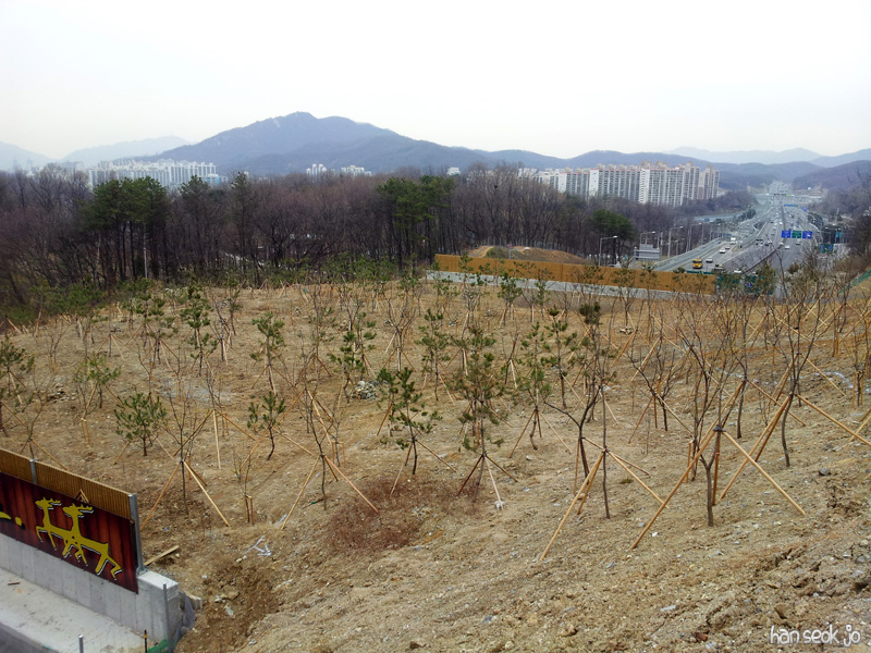 20130415_140609.jpg