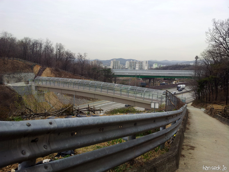 20130415_145142.jpg
