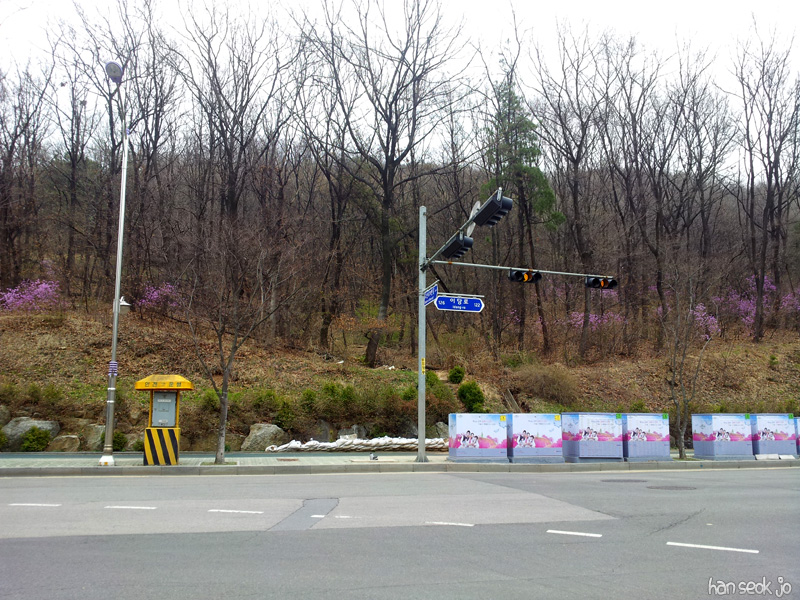 20130415_125017.jpg