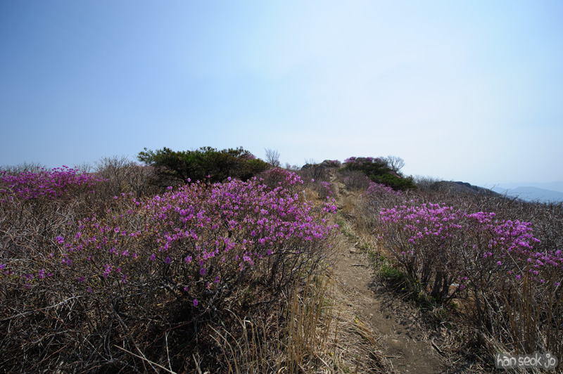 HSJ_9447.jpg