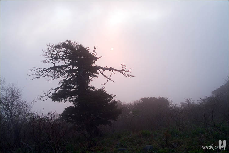 DSCF8242.jpg