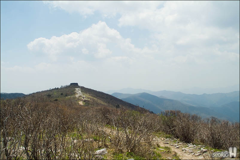 DSCF8290.jpg