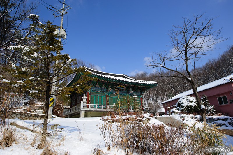 HSJ_7728.jpg