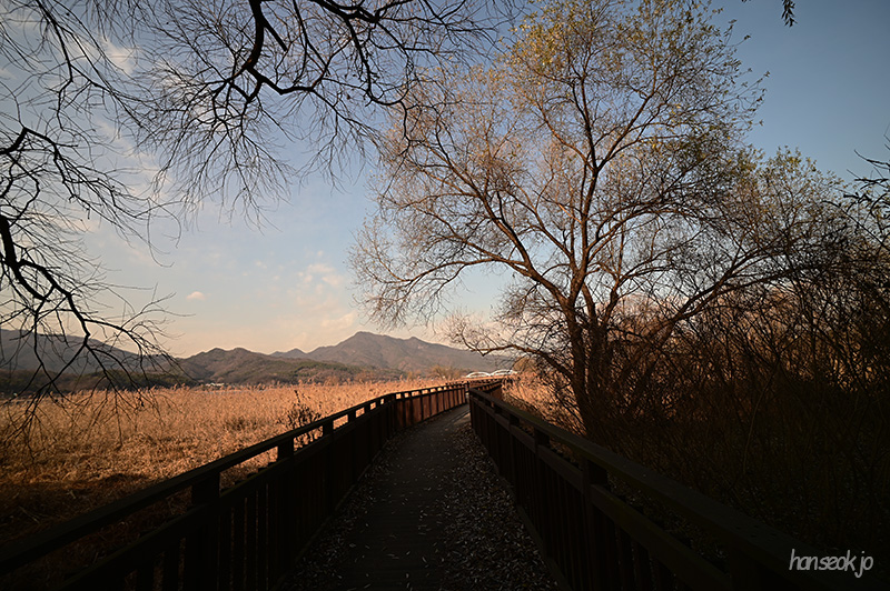 DSC_1030.jpg