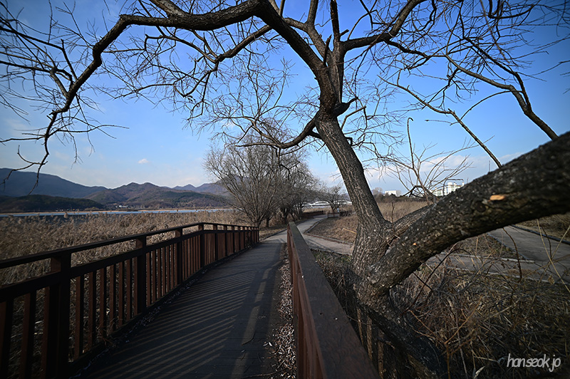 DSC_1032.jpg