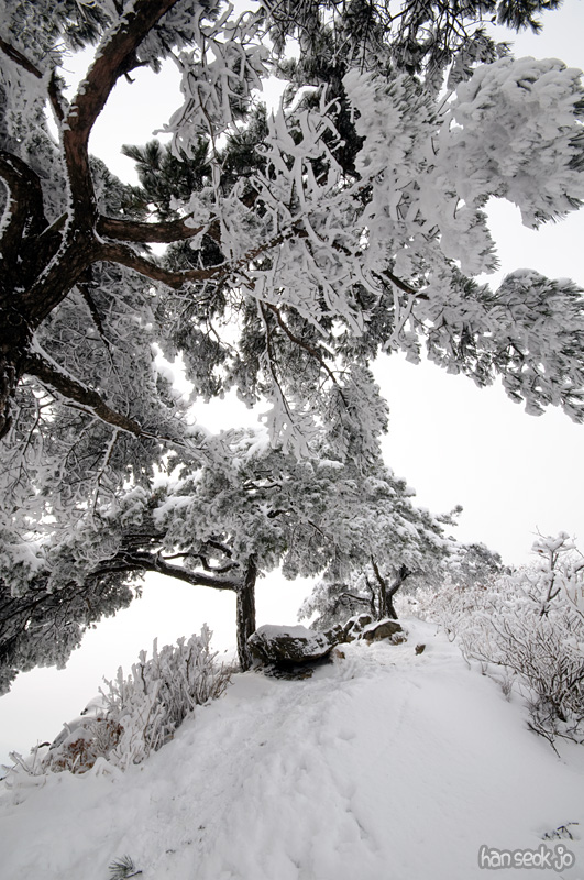DSC_4923.jpg