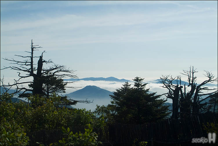 DSCF9125.jpg