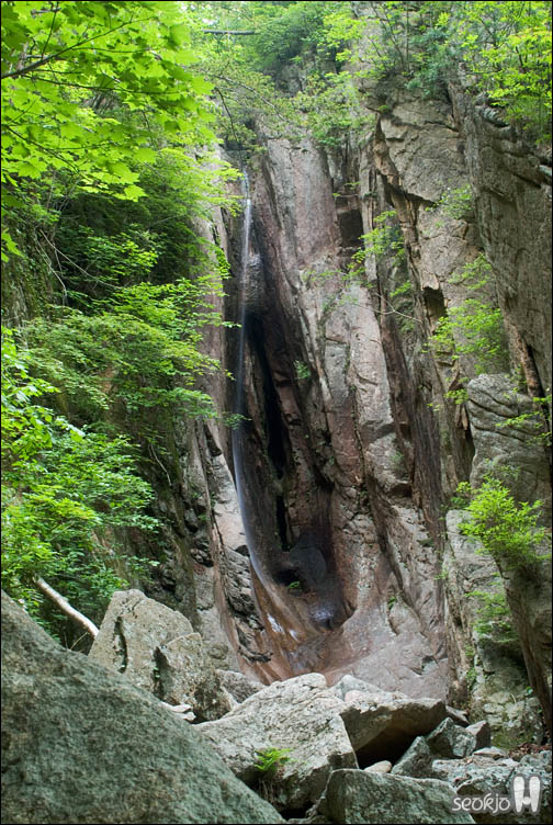 DSCF9173.jpg