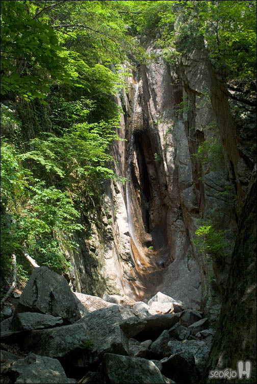 DSCF9206.jpg