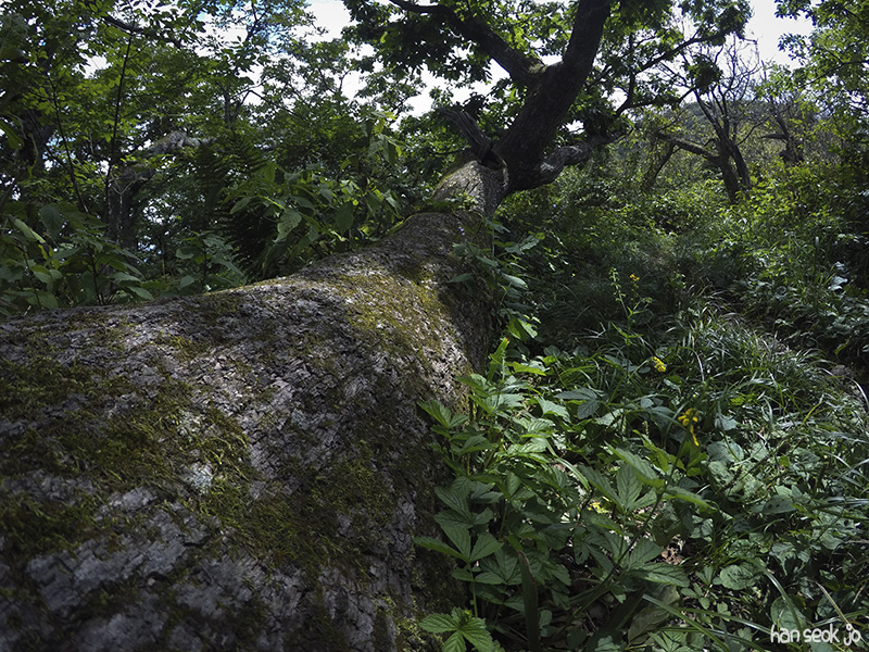 GOPR1800.jpg