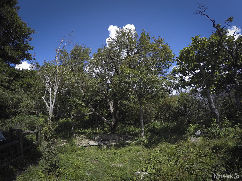 GOPR1791.jpg