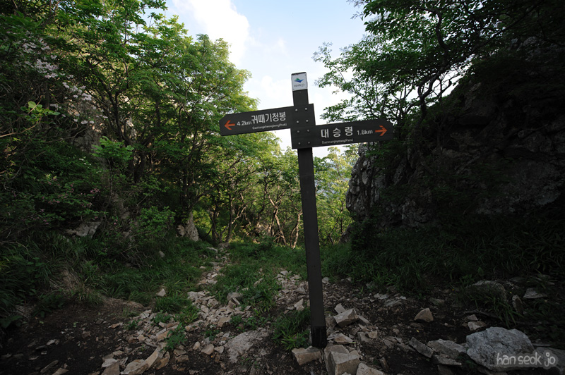 HSJ_0431.jpg