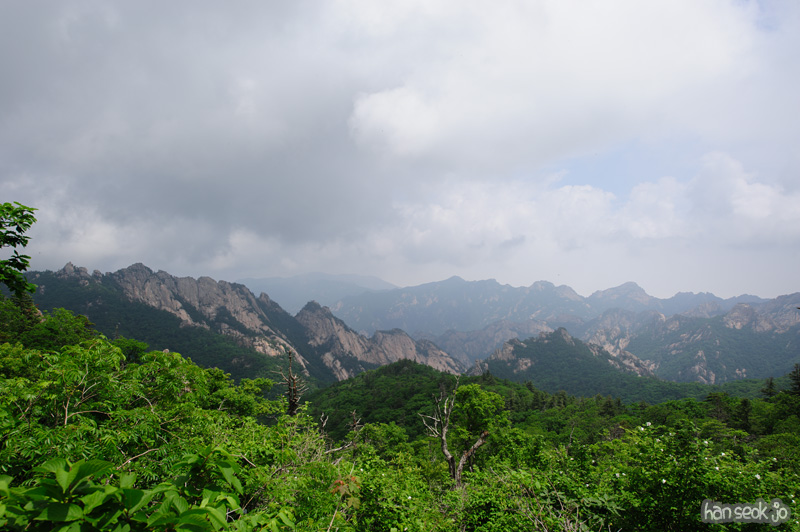 HSJ_0303.jpg