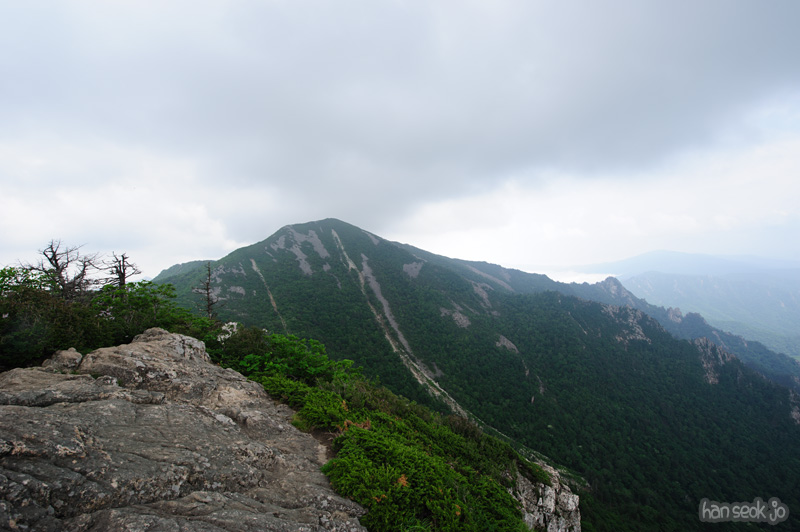 HSJ_0359.jpg