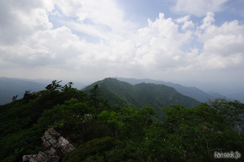 HSJ_0377.jpg