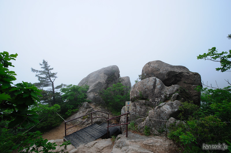 HSJ_0295.jpg