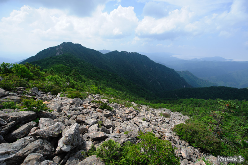 HSJ_0383.jpg