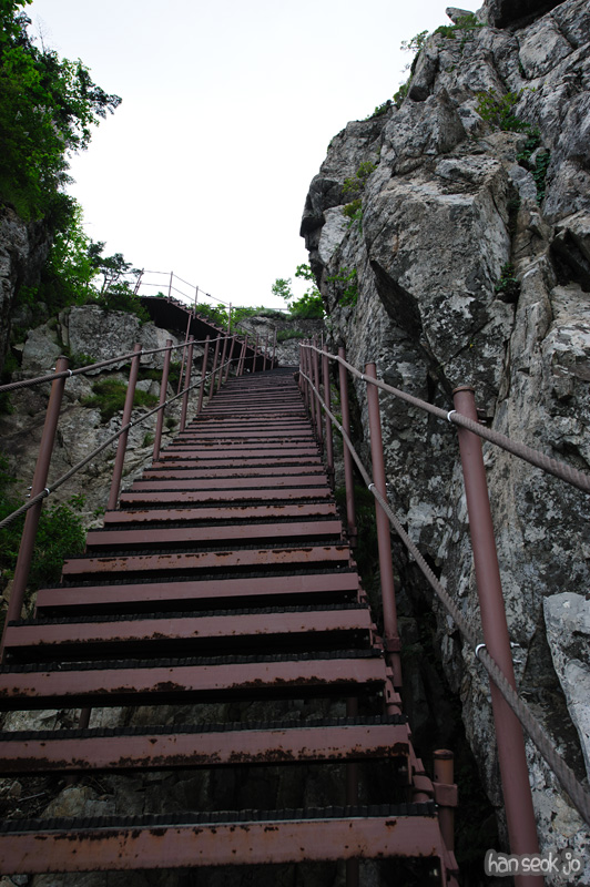 HSJ_0395.jpg