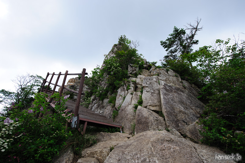 HSJ_0385.jpg