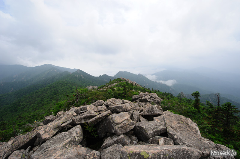 HSJ_0314.jpg