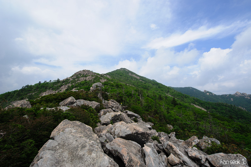 HSJ_0312.jpg