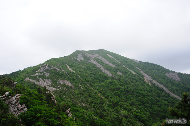 HSJ_0354.jpg