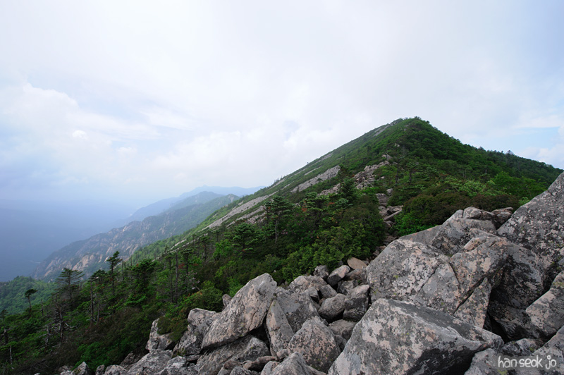 HSJ_0324.jpg