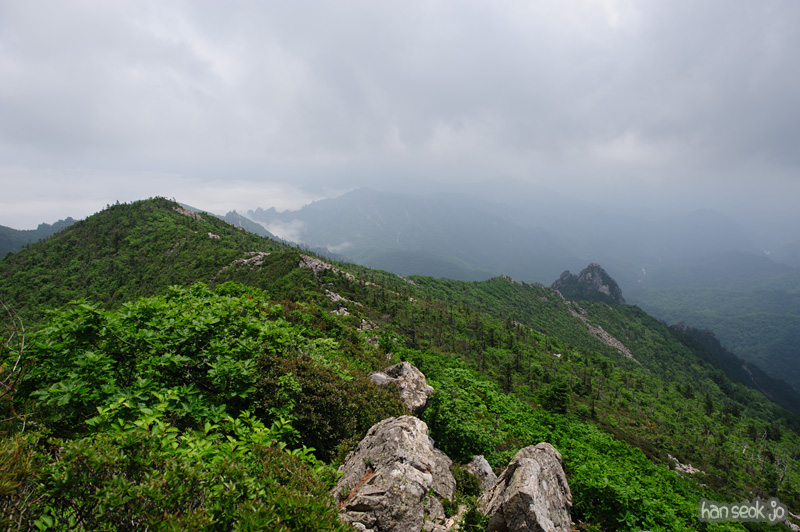 HSJ_0327.jpg