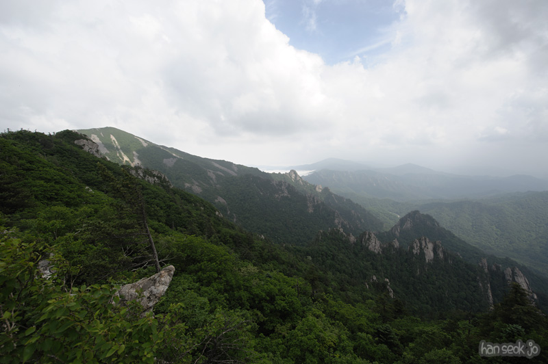 HSJ_0379.jpg