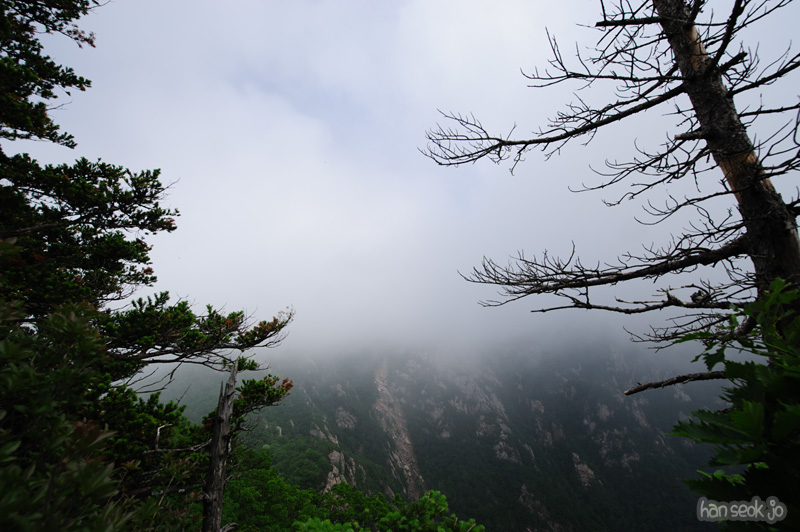 HSJ_0297.jpg