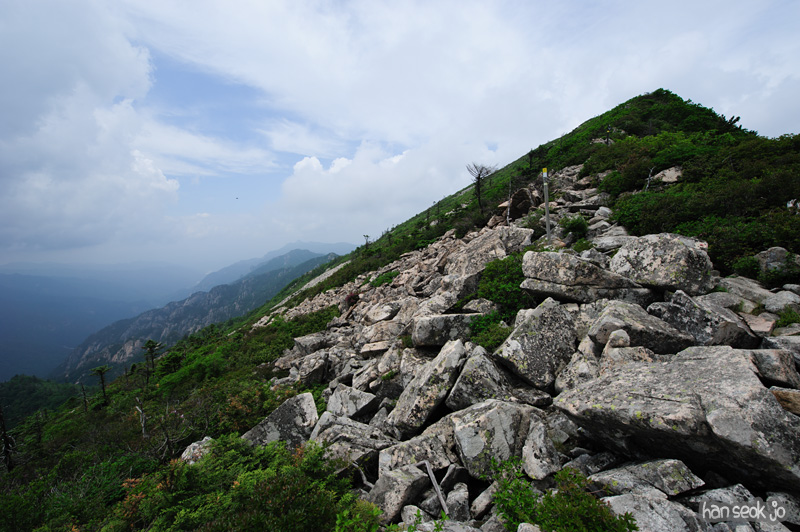 HSJ_0325.jpg