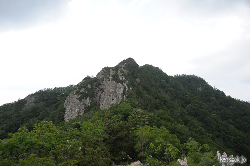 HSJ_0390.jpg