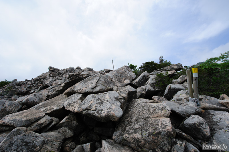 HSJ_0310.jpg
