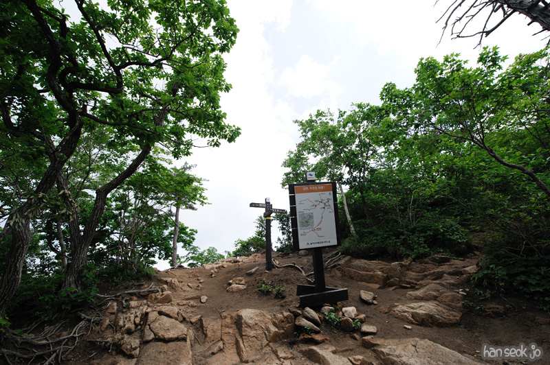 HSJ_0309.jpg