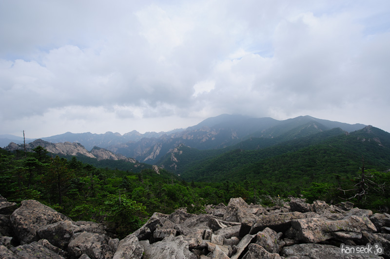 HSJ_0313.jpg