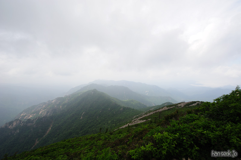 HSJ_0335.jpg