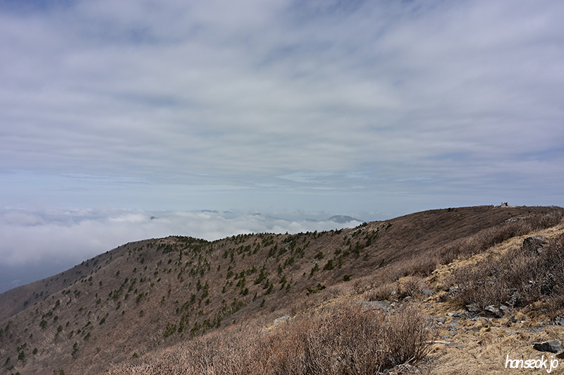 HAN_0286.jpg